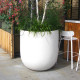 Atrium Planter