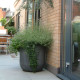 Atrium Planter