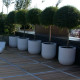 Drum planters