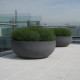 Discus on roof top terrace