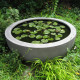 Discus Water Bowl