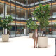Atrium planters