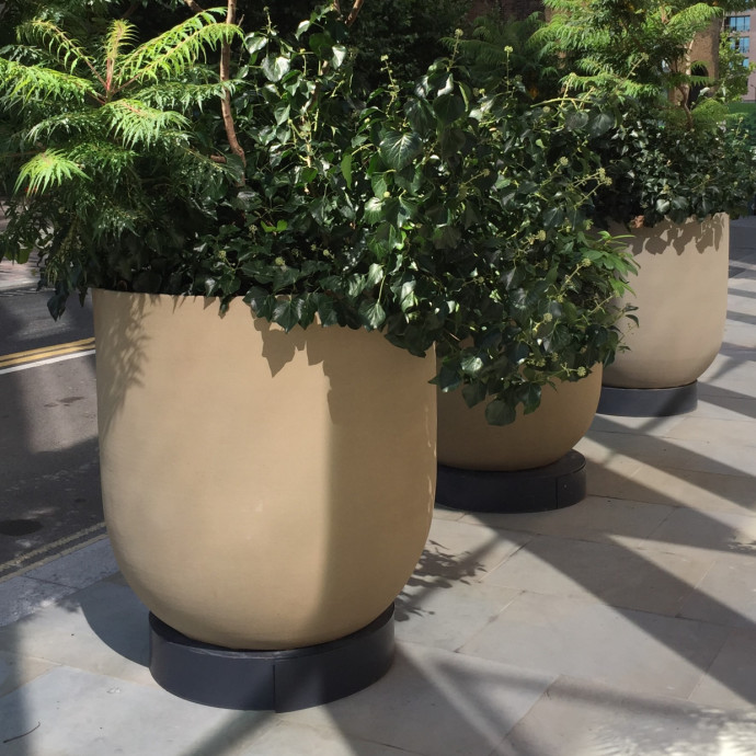 Atrium Planter