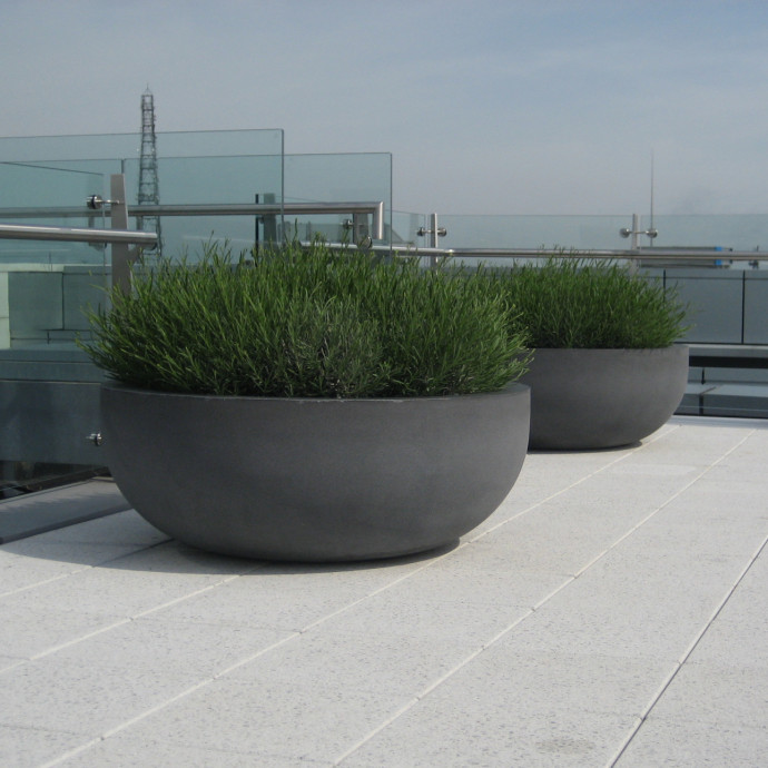 Discus on roof top terrace