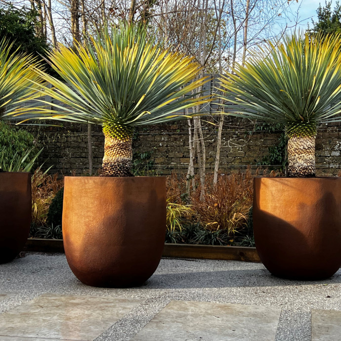 Click to enlarge Quercus Design 1