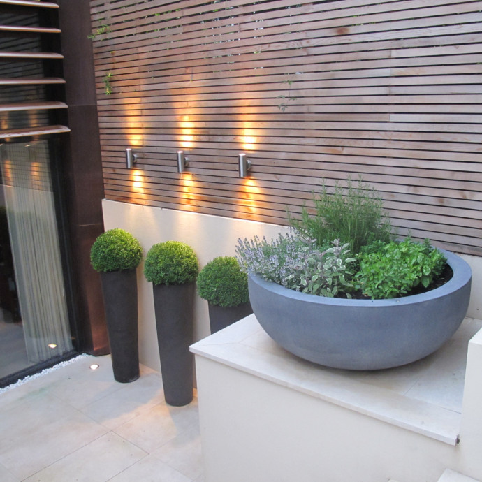 Click to enlarge Discus Stony Slate