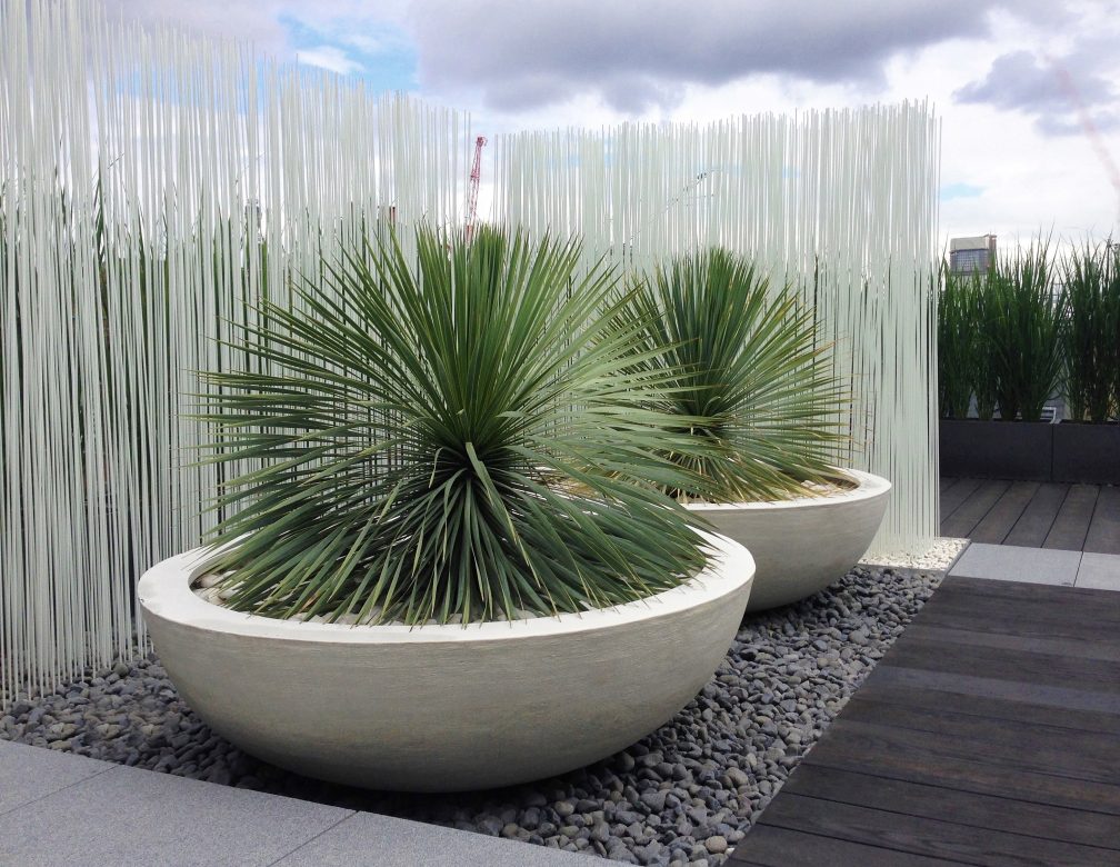 Lily Bowl Urbis Design Contemporary, Large Garden Bowl Planters Uk