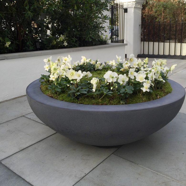 Lily Bowl Urbis Design Contemporary, Large Shallow Garden Bowl Planter Uk
